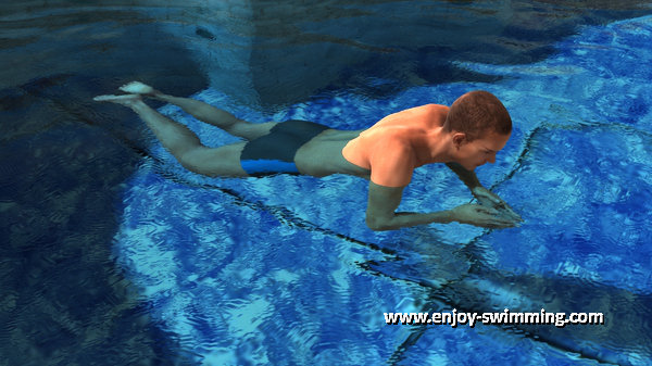 The arm movements of the breaststroke - End of the insweep and beginning of the recovery.
