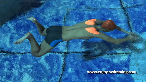 A breaststroke swimmer at the beginning of the propulsive phase of the kick.
