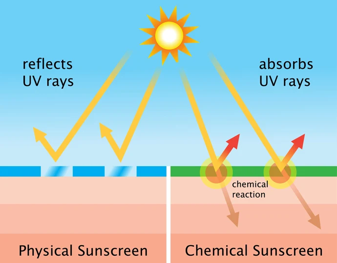 A diagram of the action of chemical sunscreen versus physical sunscreen.