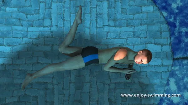 The Sidestroke - End of Leg Flexion and Beginning of Extension