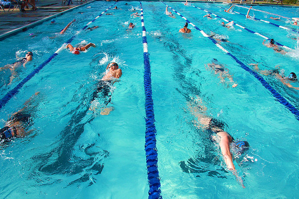 A team of swimmers training and circling in pool lanes.